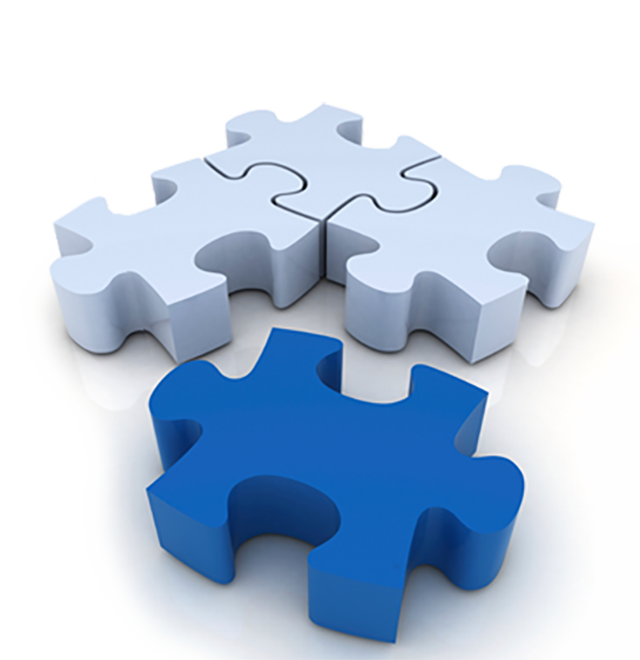 biz_info5